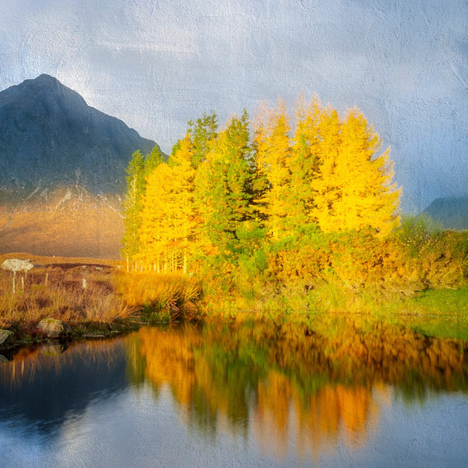 Scottish Glow