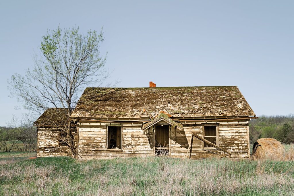 Homestead 5