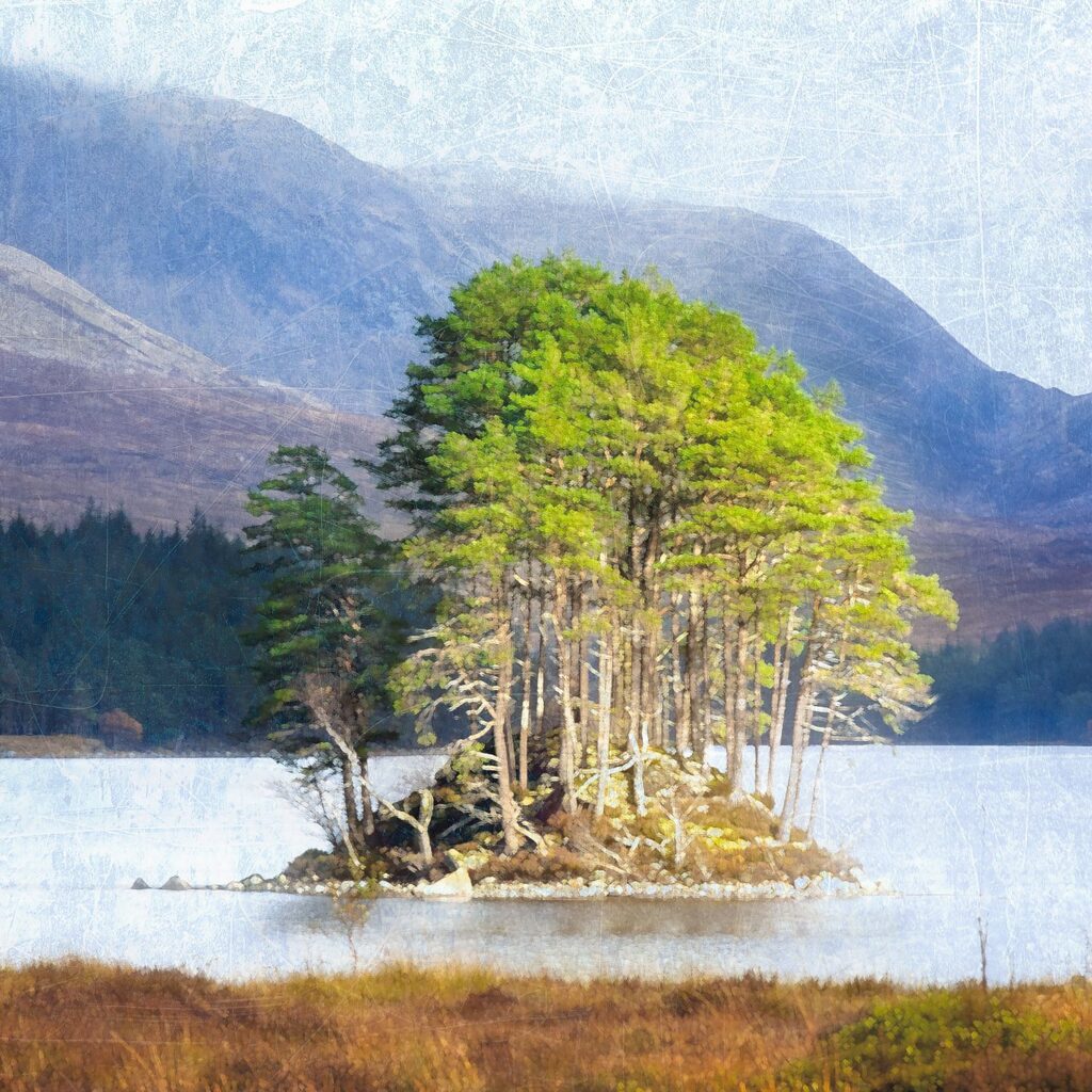 Moorland Isle