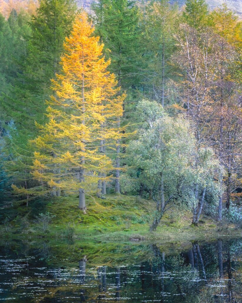 Lakeside Fantasy