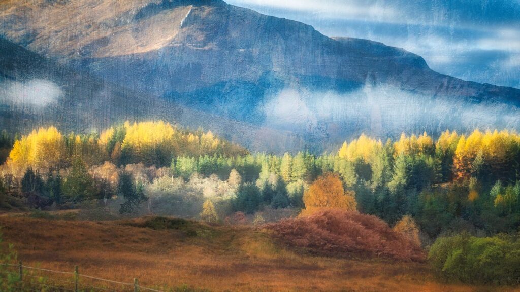 Highlands Fog